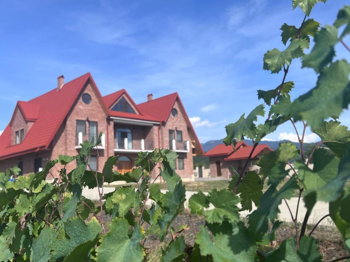 Hotel Begaso Family Winery Kvareli Zewnętrze zdjęcie