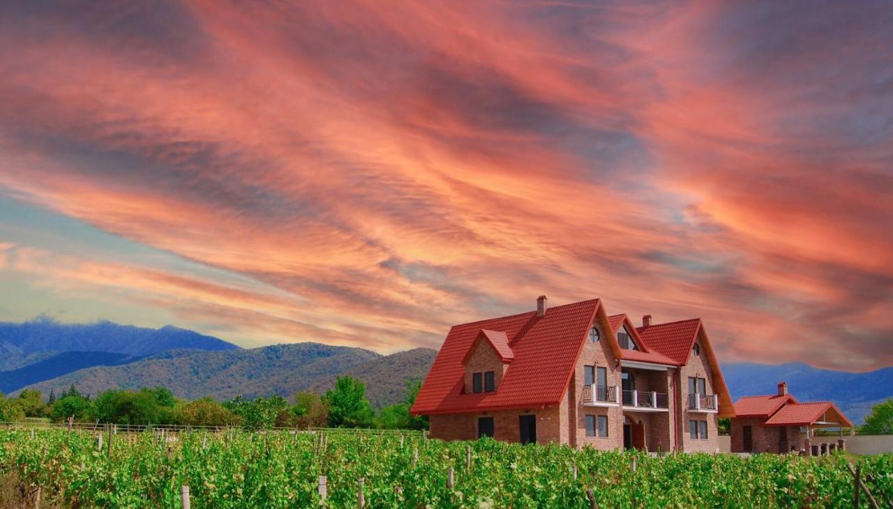 Hotel Begaso Family Winery Kvareli Zewnętrze zdjęcie