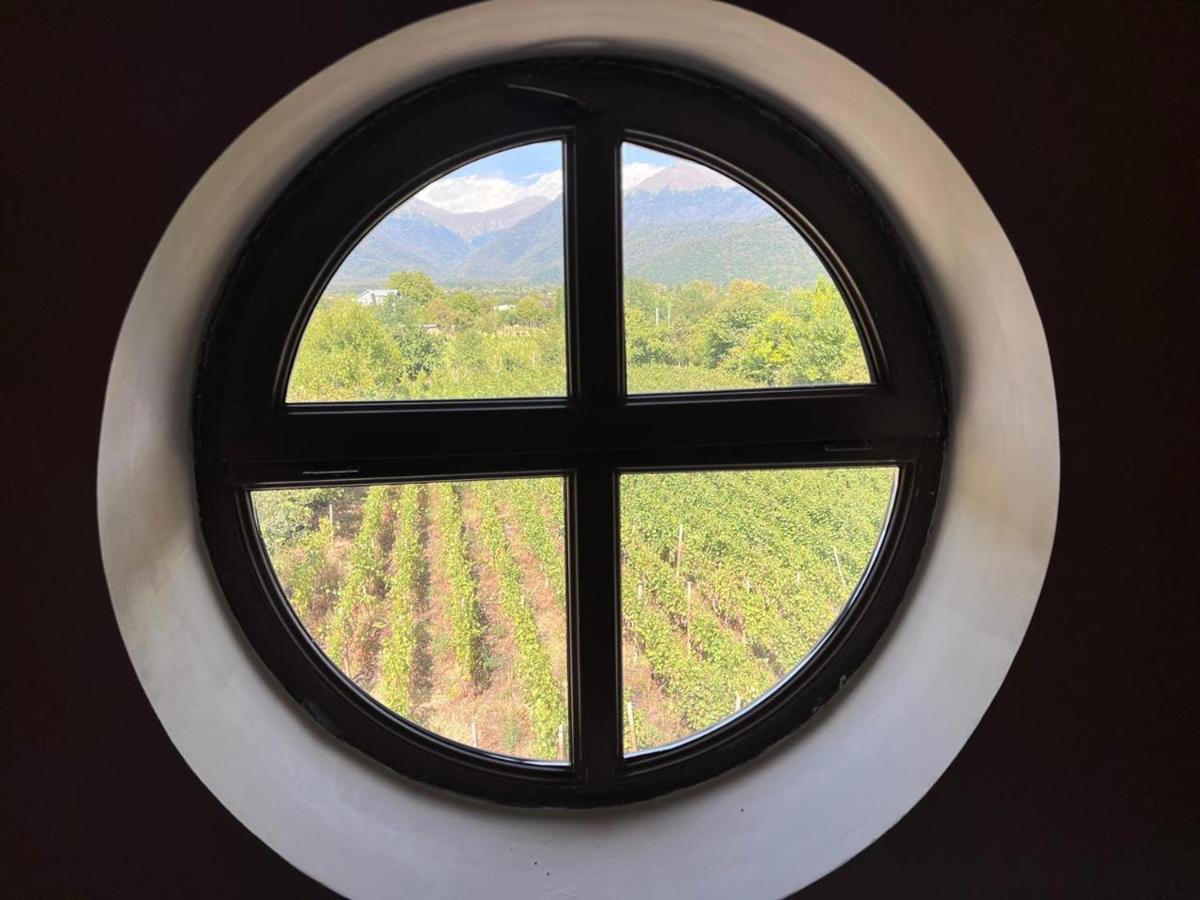 Hotel Begaso Family Winery Kvareli Zewnętrze zdjęcie